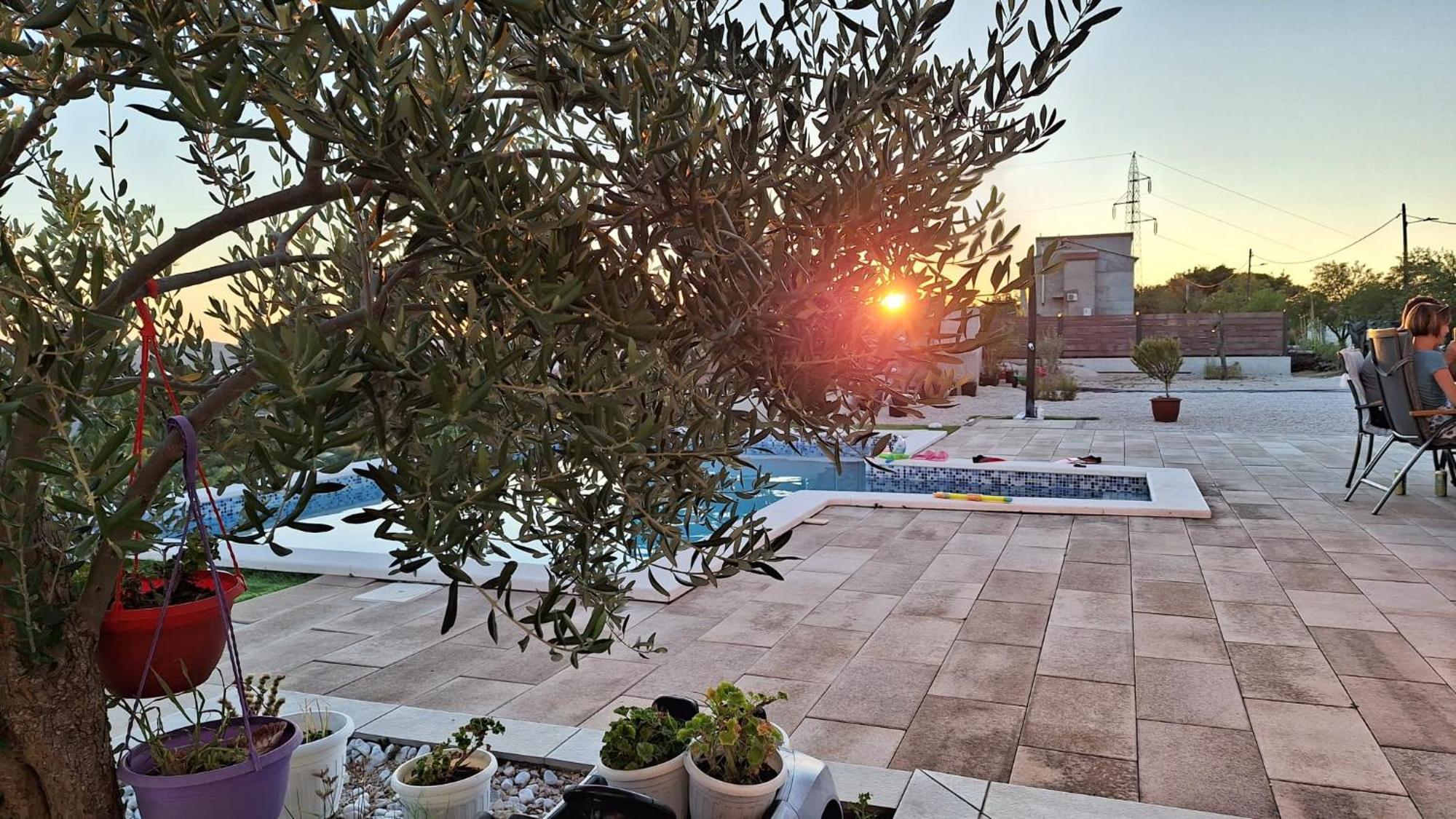 Villa Scolopax Rusticola Skradin With Heated Pool Εξωτερικό φωτογραφία